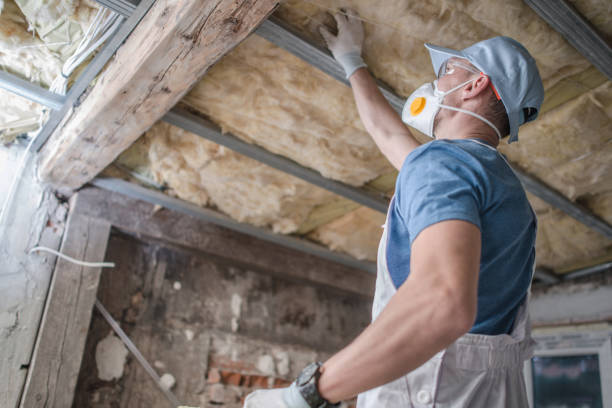 Best Residential Insulation in Aberdeen, MS